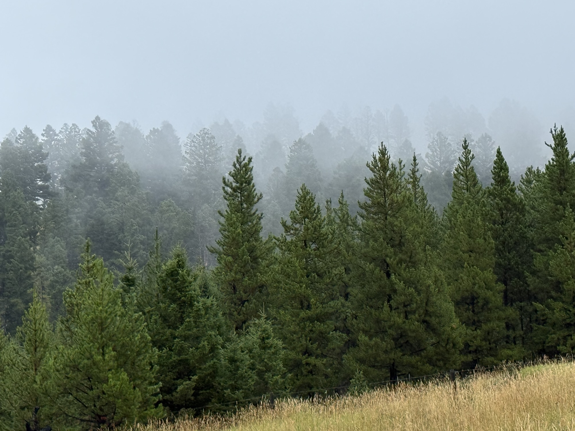 When the Fog Rolls Into the Southwest, Montana Mountains